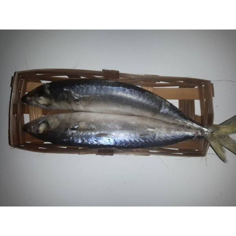 

ikan Cue keranjang - isi 2 Pcs