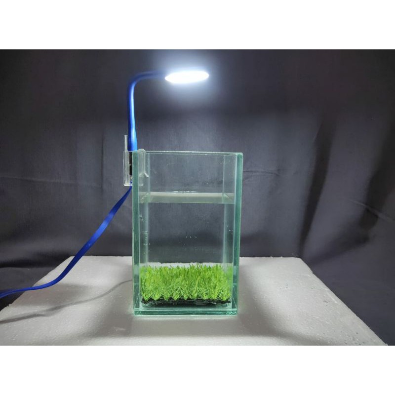 LAMPU LED MINI AQUARIUM/LAMPU LED USB SOLITER MURAH