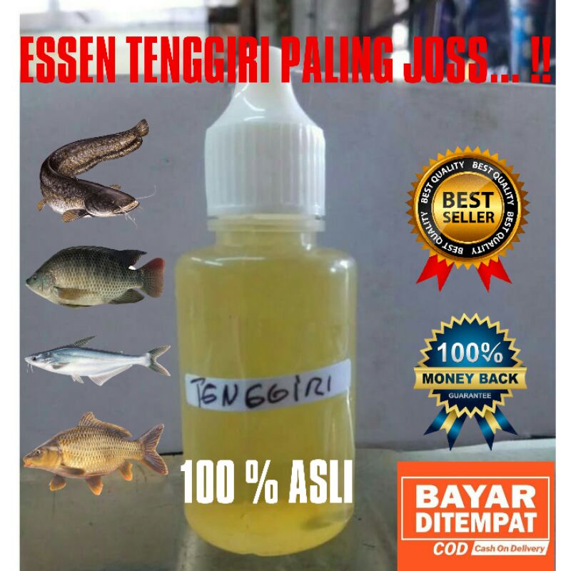 essen,umpan pancing,umpan pancing essen,Essen Tenggiri,esen ikan mas,essen ikan mas, essen biang