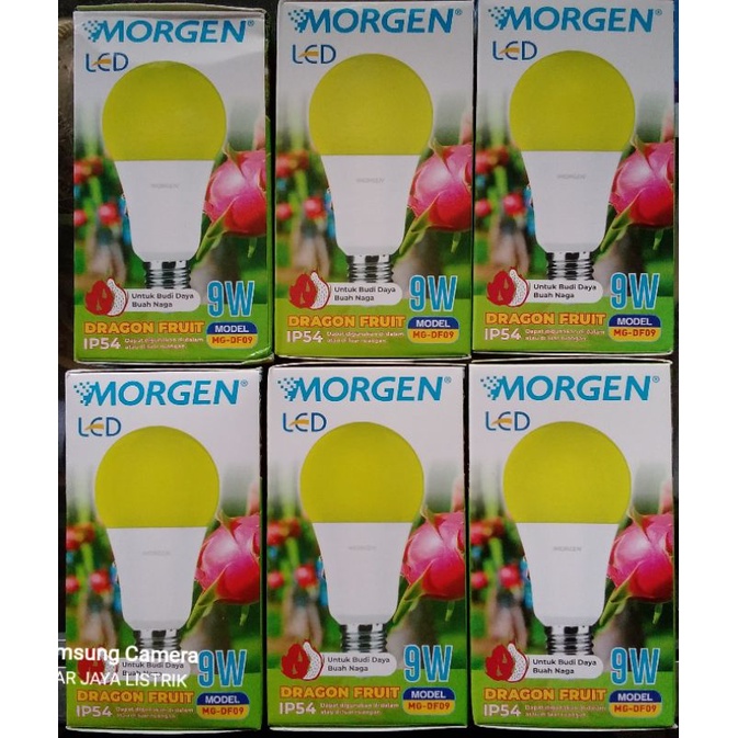 Lampu Buah Naga LED Morgen Dragon Fruit 9W MG-DF06 IP56 ~ Untuk Budi Daya Buah Naga