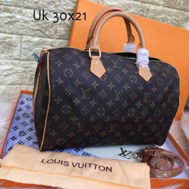 Lv speedy monogram