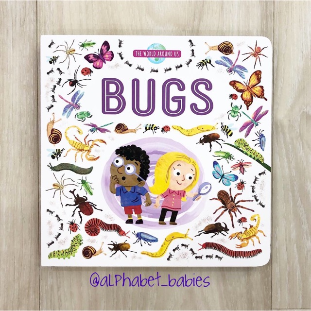 The World Around Us Board Book : Bugs