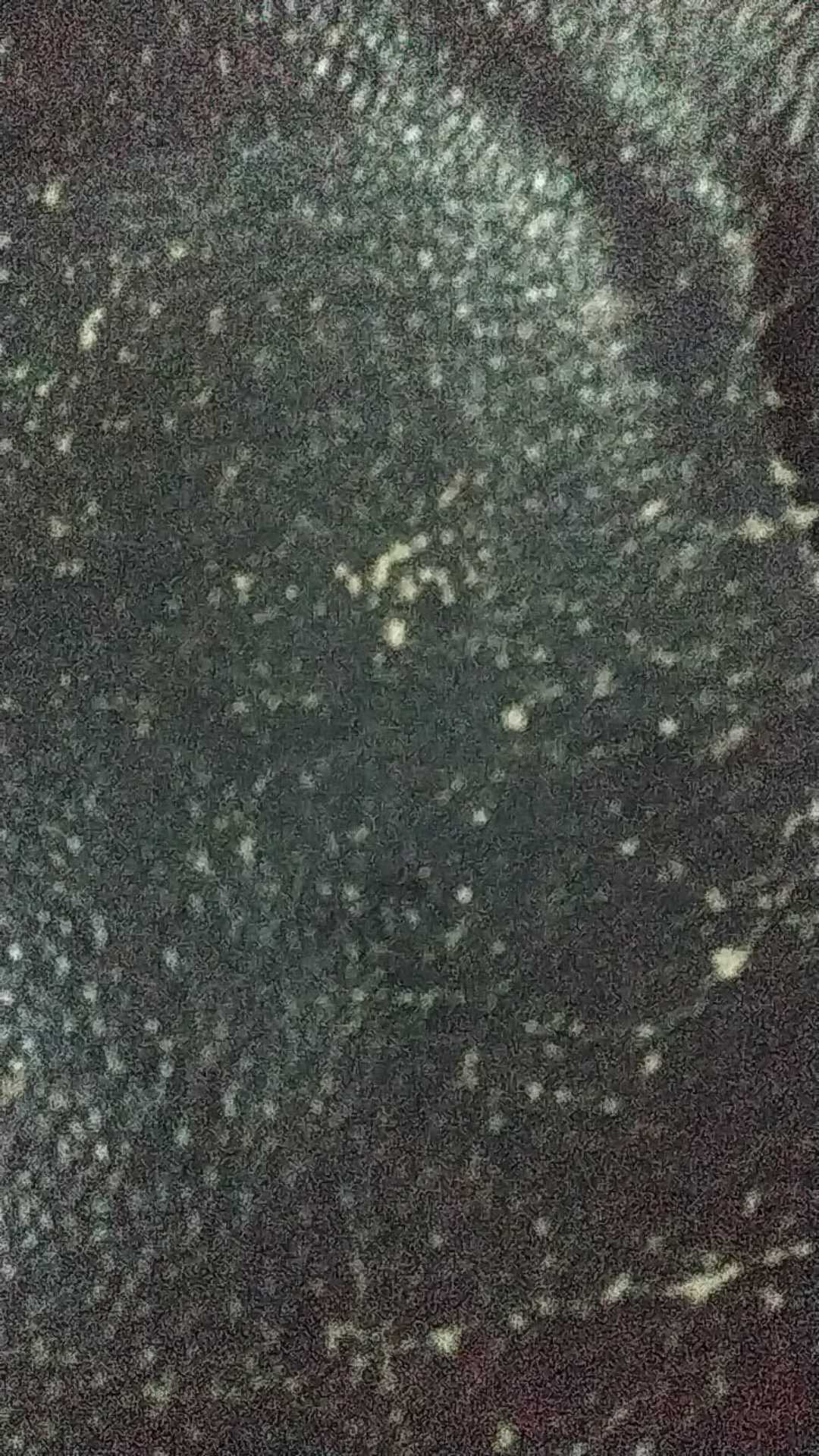 Pengaman Pengunci Pintu/kulkas/lemari (safety Lock)