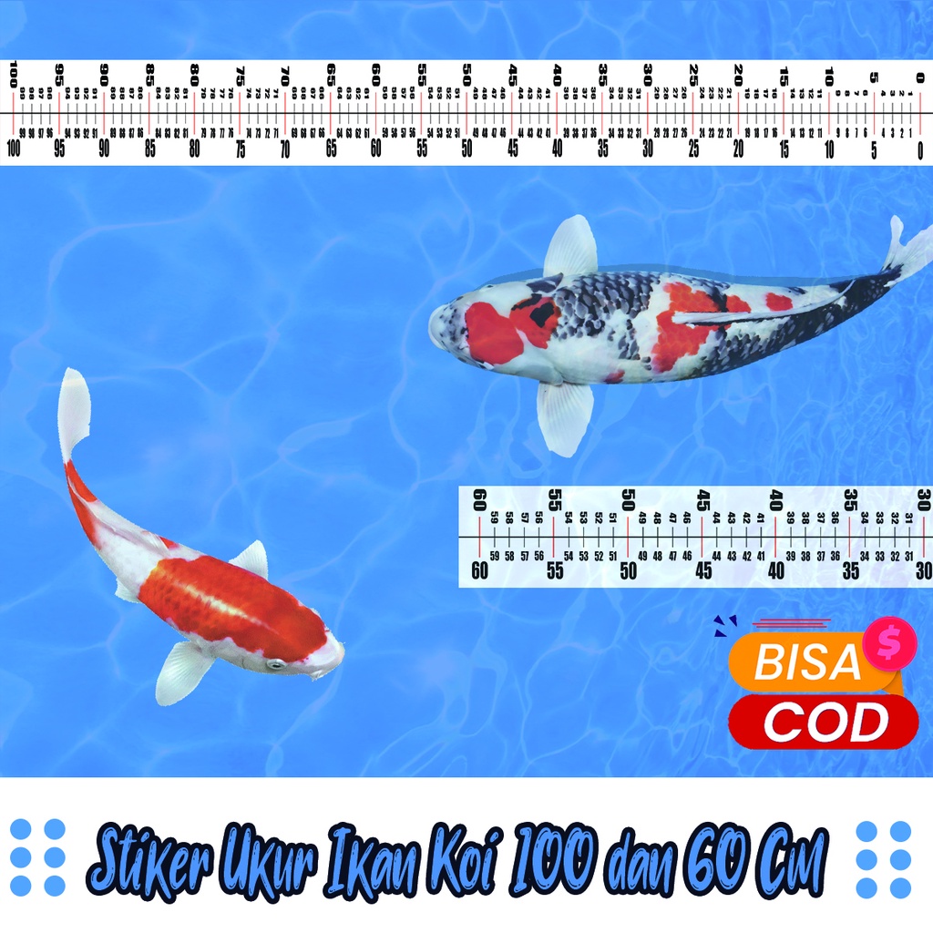 Stiker Ukur Ikan Koi/ Stiker Bak Ukur
