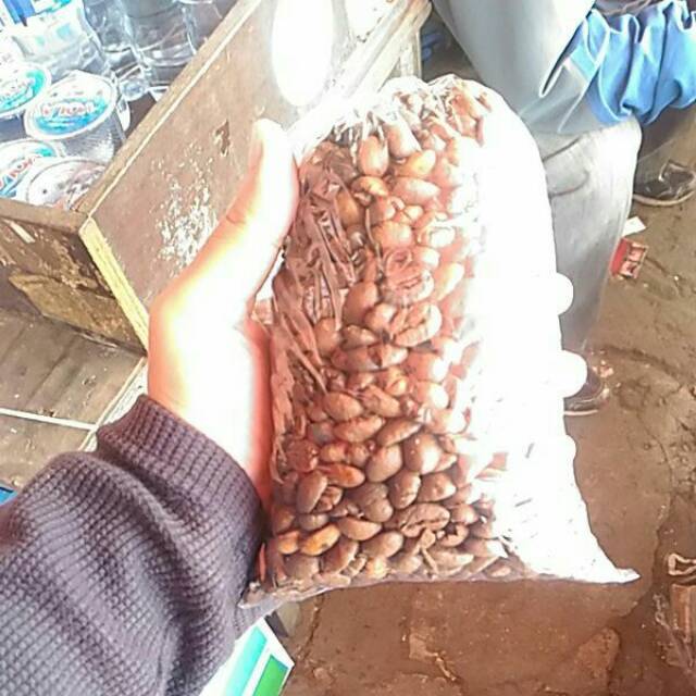 

Kopi arabika lampung