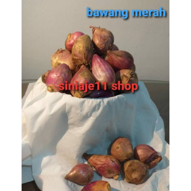 

Bawang merah