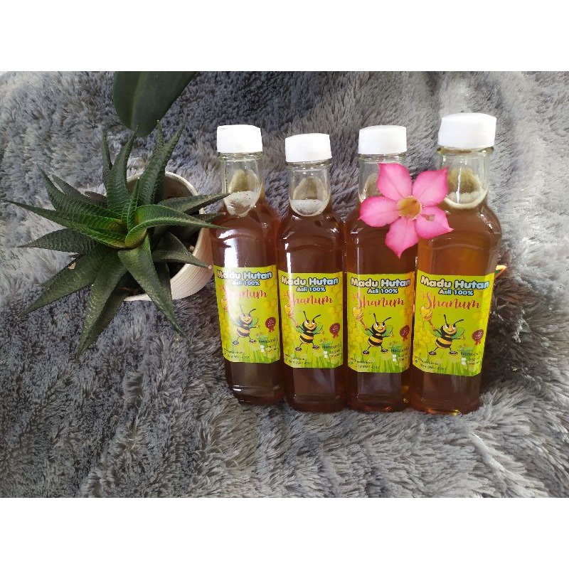 

Madu Gong / Madu Hutan Murni Asli 100%
