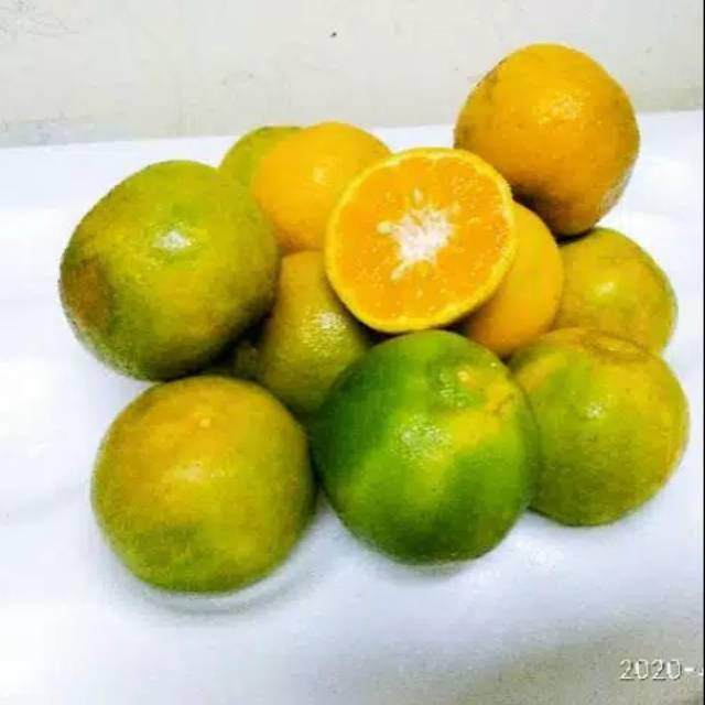 

Jeruk manis berastagi 1 kg khusus medan