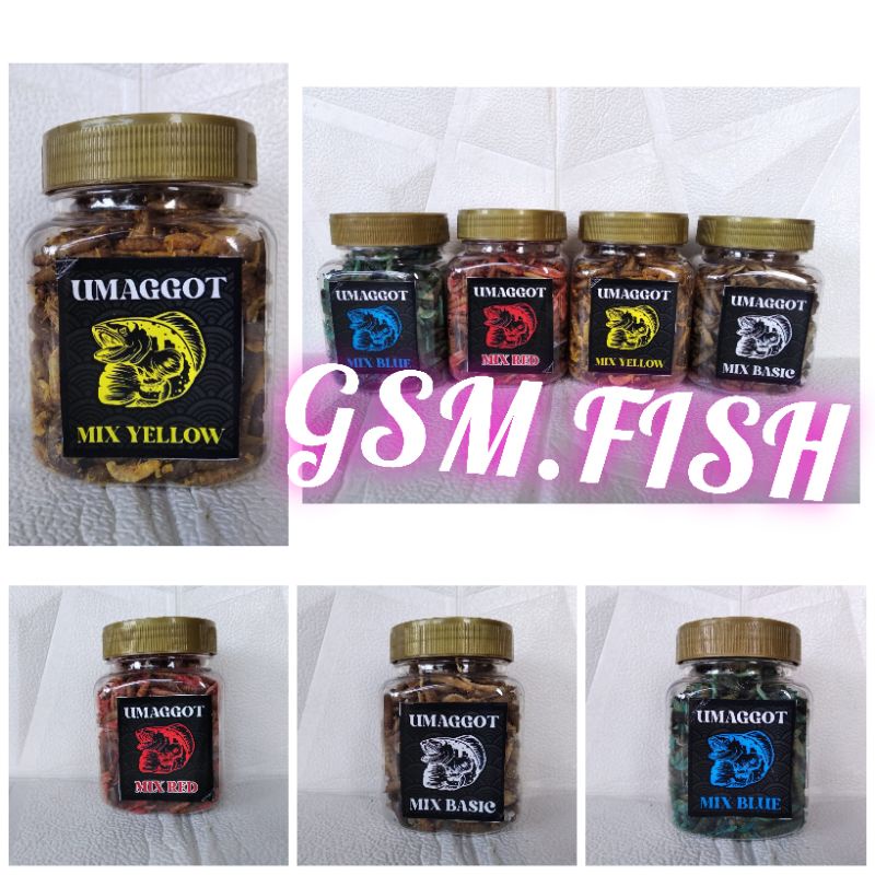 pakan channa umaggot udang kering maggot kering super asagi netto 35 gram asiatica yellow sentarum a