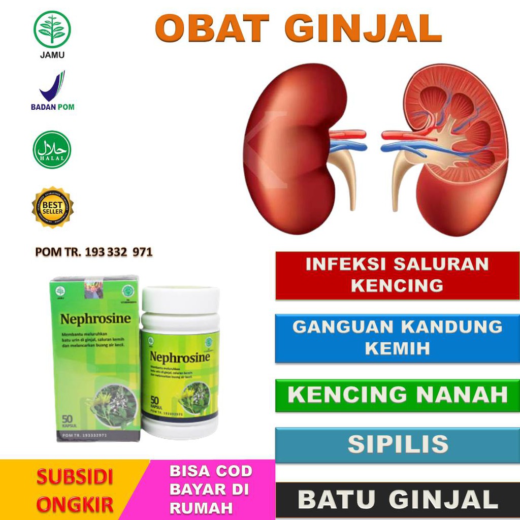 [HERBAL ALAMI ]Obat Batu Ginjal Pecahkan Batu Ginjal Keluarkan Batu Ginjal