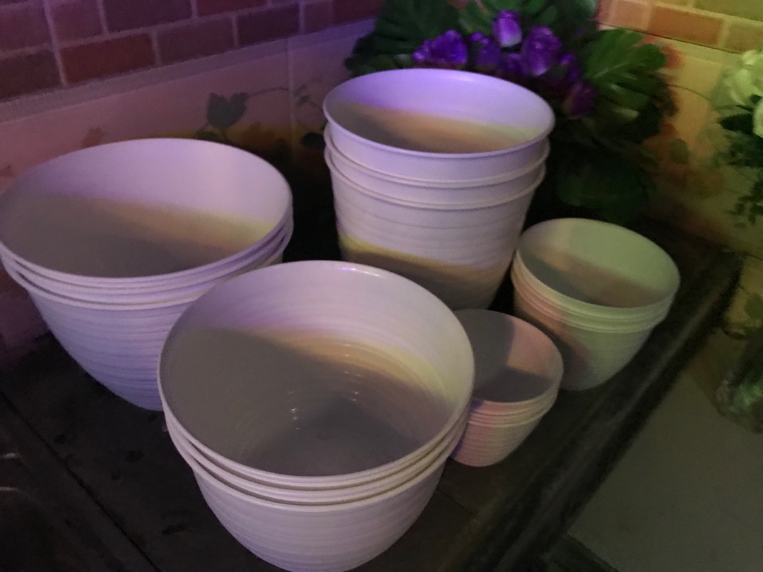 Pot Tawon 12 Cm Untuk Tanaman