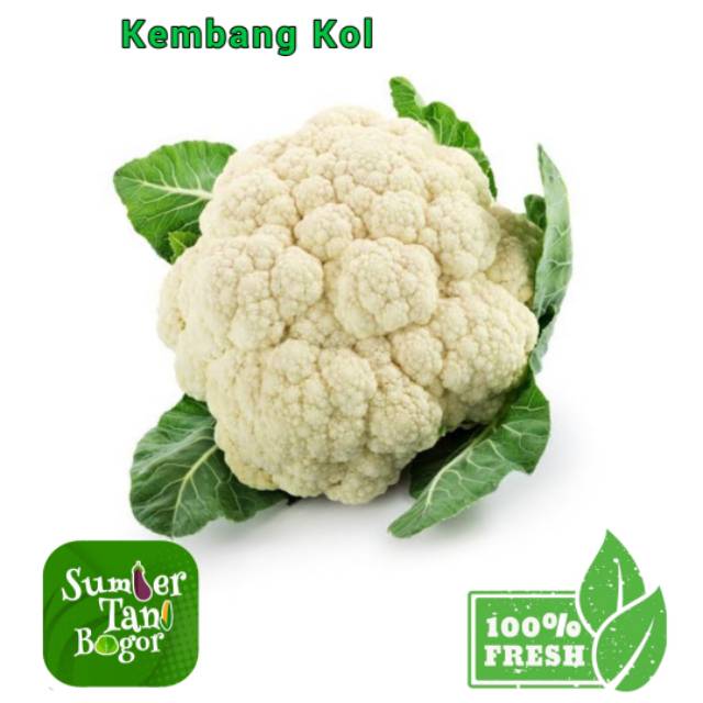 

KEMBANG KOL - Per 1 Kg