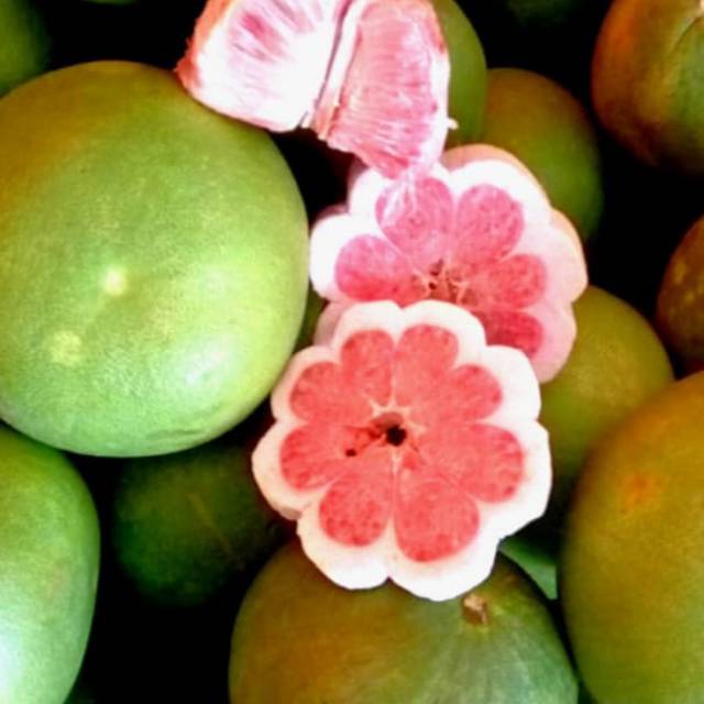 

Jeruk bali pamello
