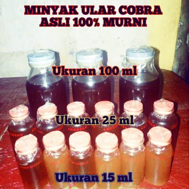 Minyak ular cobra