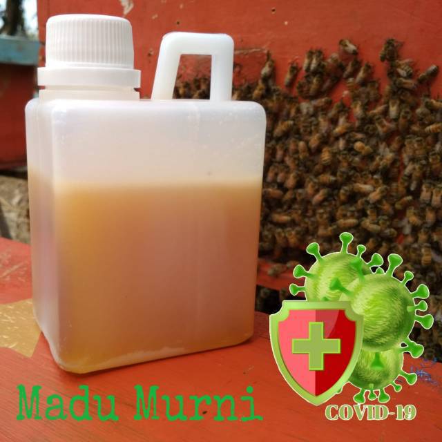 

[500GR] Madu Randu Murni Raw Honey Madu Mentah Asli