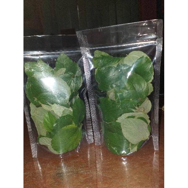 

《packingaman》 DAUN BIDARA ARAB SEGAR isi 100 helai