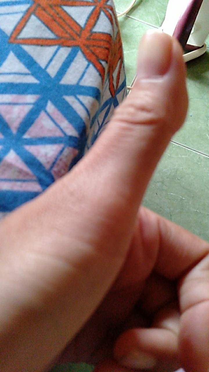 Anggrek Vanda Miniatum