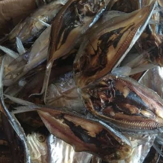 

Ikan asin bandeng PROMO