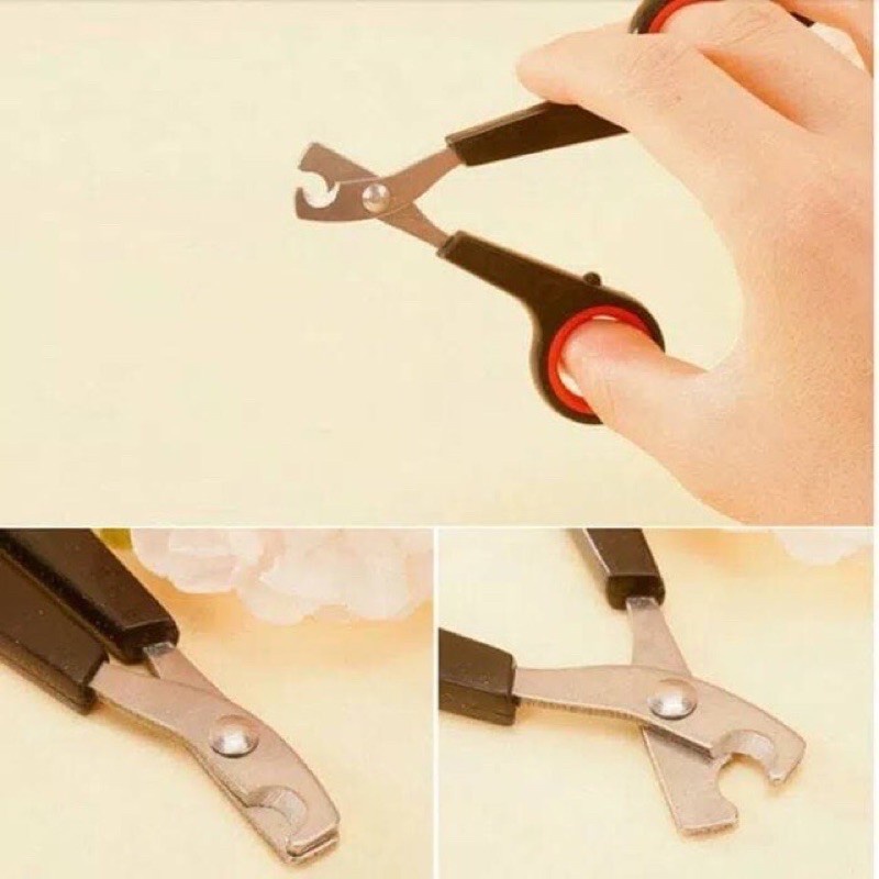 GUNTING KUKU HEWAN NAIL CLIPPER SUGAR GLIDER / KUCING / RAPTAIL FEFARM