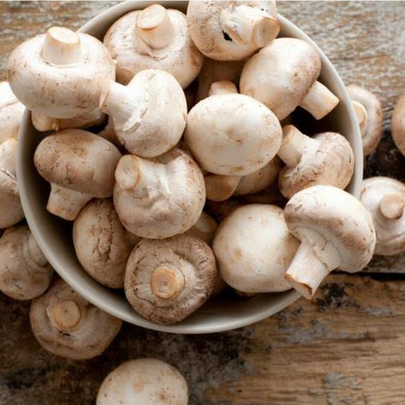 

Jamur Kancing Segar Jamur Champignon Fresh Pasar Murah Jogja