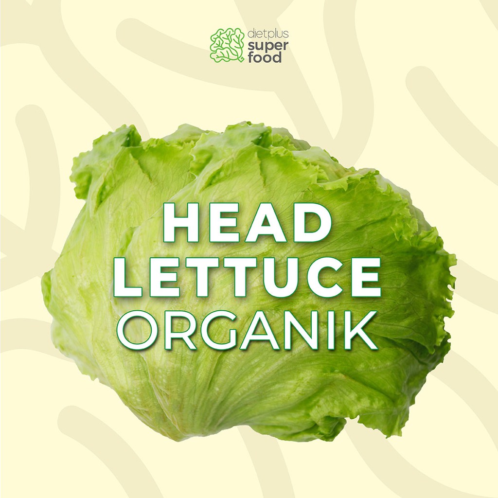 

Head Lettuce / Iceberg Organik Segar 200 gr / 0.2 kg Dietplus Superfood