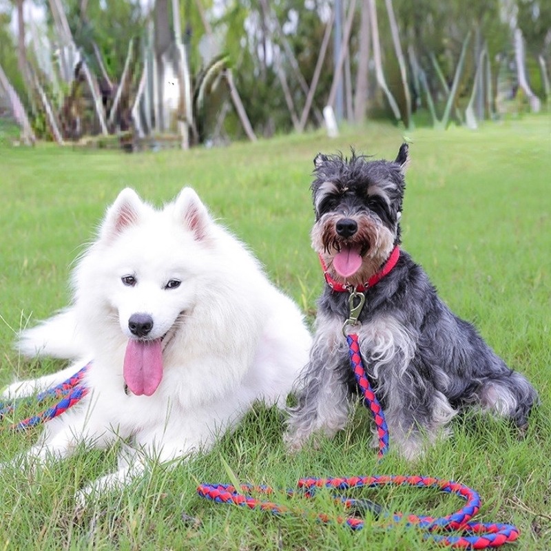 ★〓YUFeiPet〓★ Dog Leash Pet Dog Walking Rope Medium and Small Dog Collar Vest Style Puppy Dog Chain Three-piece Suit