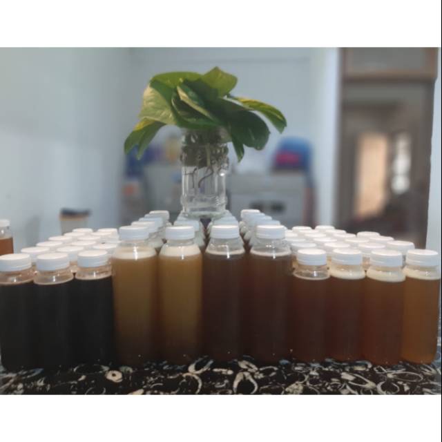 

Madu Hutan Sialang Siak