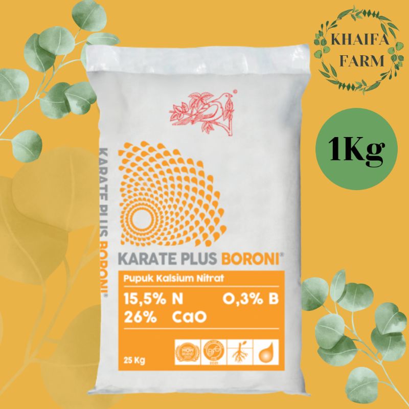 Karate Plus Boroni (1Kg)