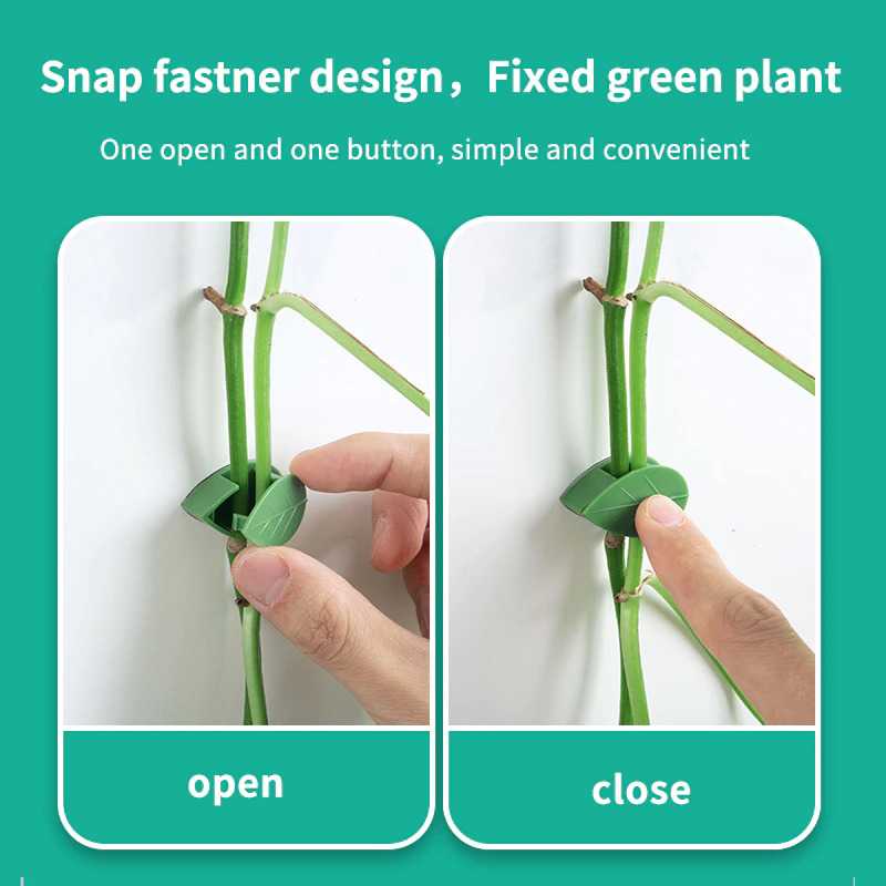 TD - TMN ZITONG Klip Batang Tanaman Invisible Plan Vine Fixture 60 PCS - GL8
