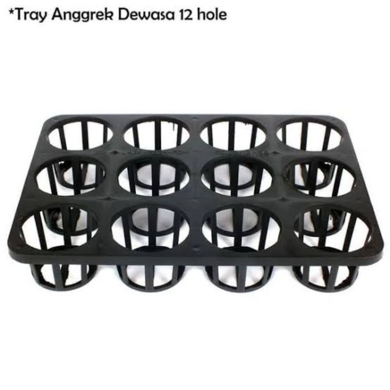 Tray Anggrek 12 Hole
