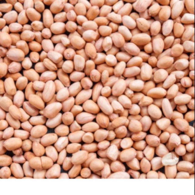 

Kacang tanah 100gr