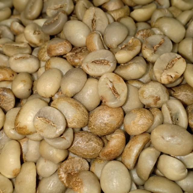 

Kopi rabusta unggul