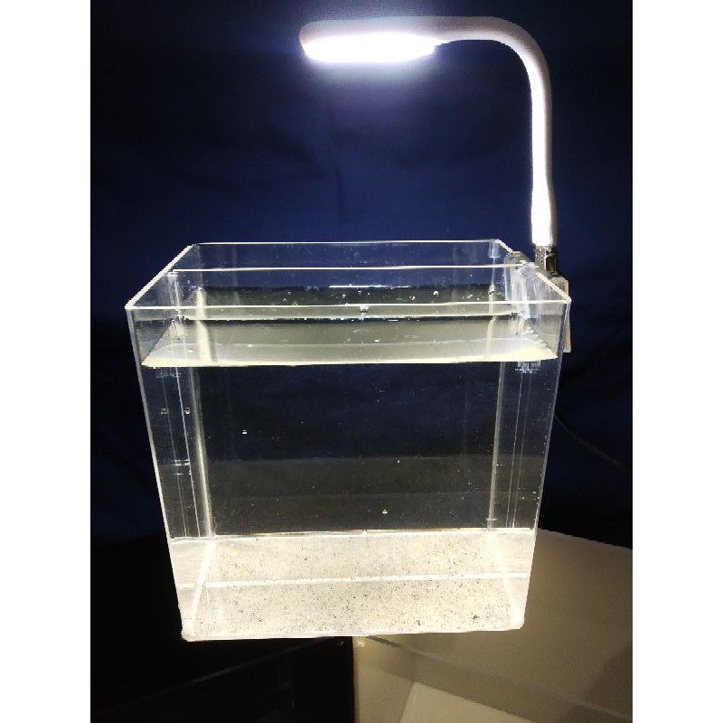 Soliter selfie akrilik ukir +lampu fullset cupang bening sekat