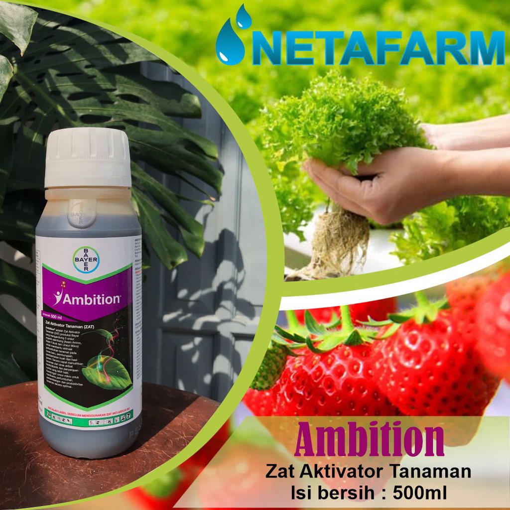 AMBITION Zat Aktivator Tanaman ZAT Organik Bayer 500ml