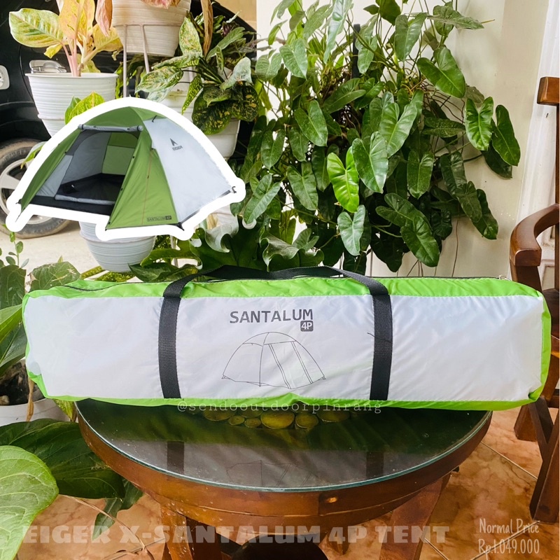 TENDA X-SANTALUM 4P