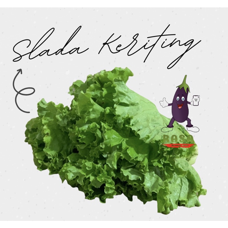 

Selada Kriting 250gram