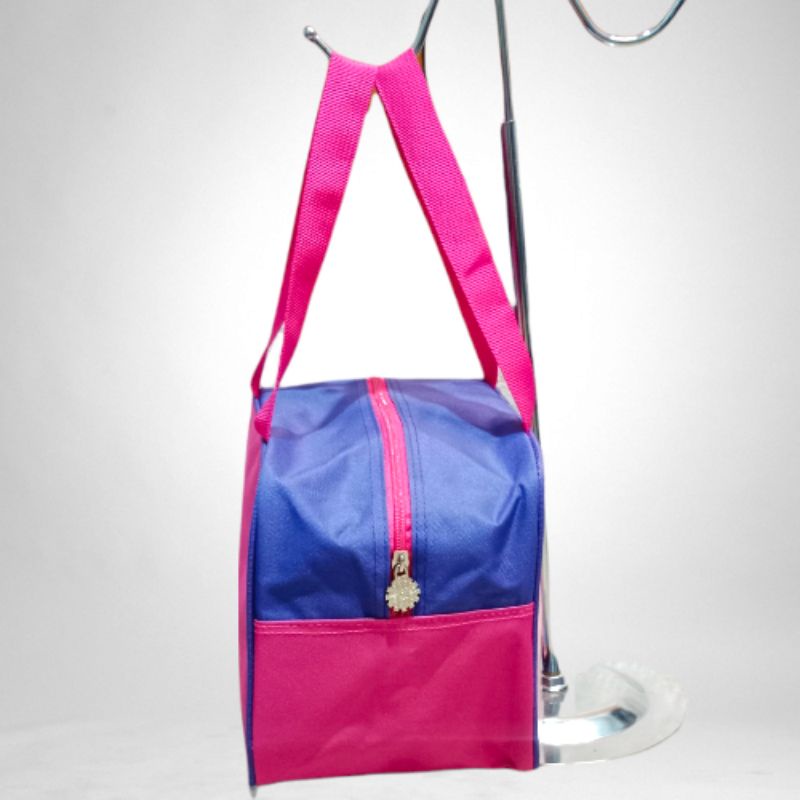 Tas Bekal Ultah Frozen Bag Anak Jinjing Murah