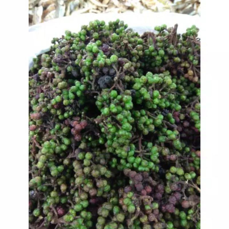 

Andaliman Parsoburan segar 1 kg