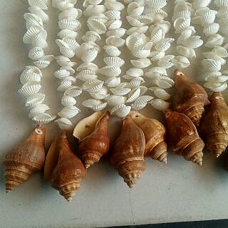  TIRAI  KERANG  HIASAN PINTU  KAMAR ISI 10 UNTAI UKURAN BESAR 