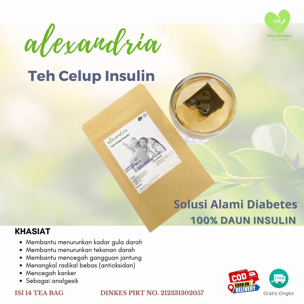 Teh Celup Insulin I Obat Herbal Diabetes I Minuman Herbal 100% Alami