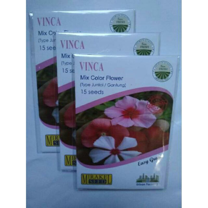Benih bunga Vinca gantung 1pack