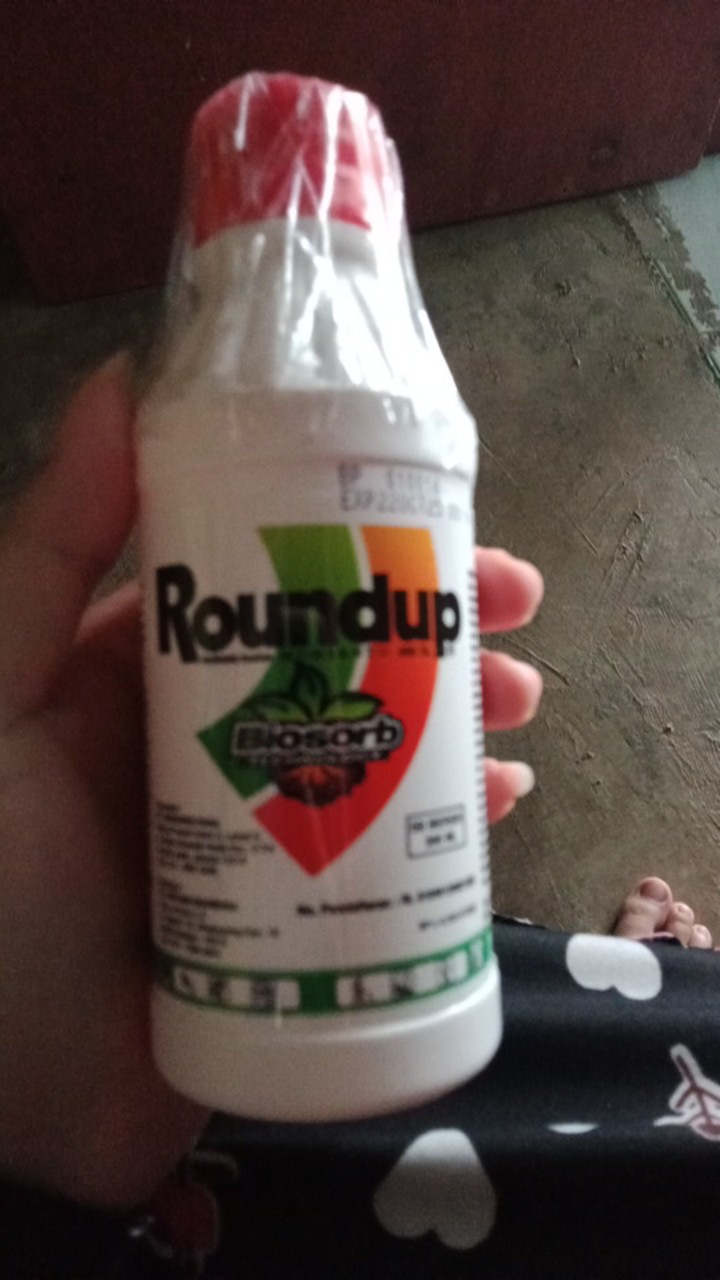 Roundup Rondap 200ml Obat Pembasmi Rumput Dan Gulma Murah  300gr