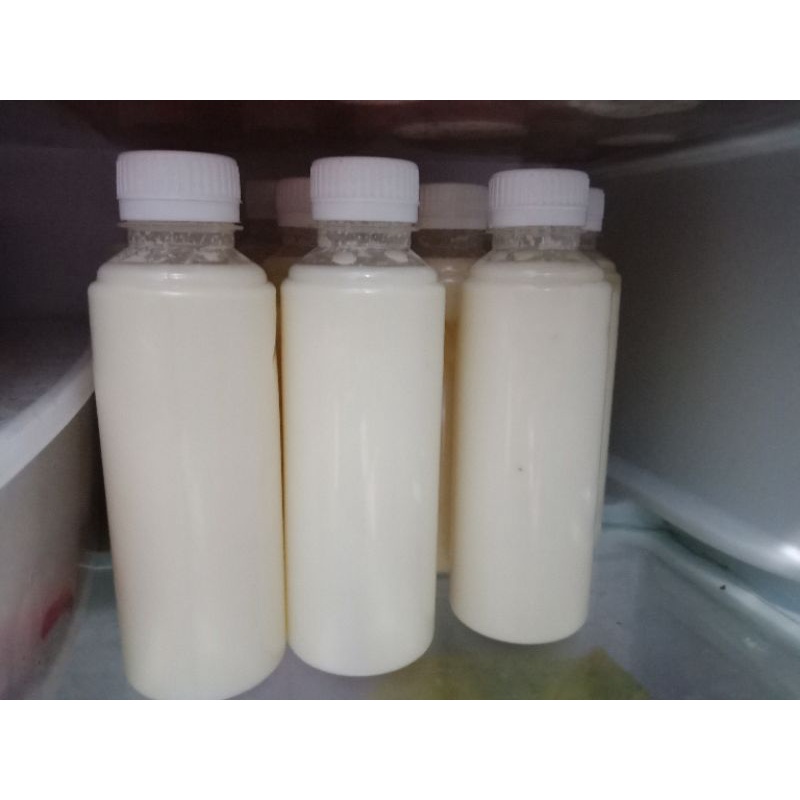 

SUSU KEFIR SAPI MAHDEYA