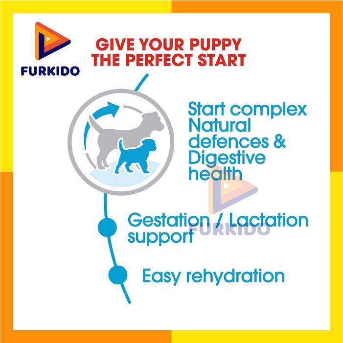 Royal Canin Mini Starter Mother &amp; Baby Dog 1 Kg