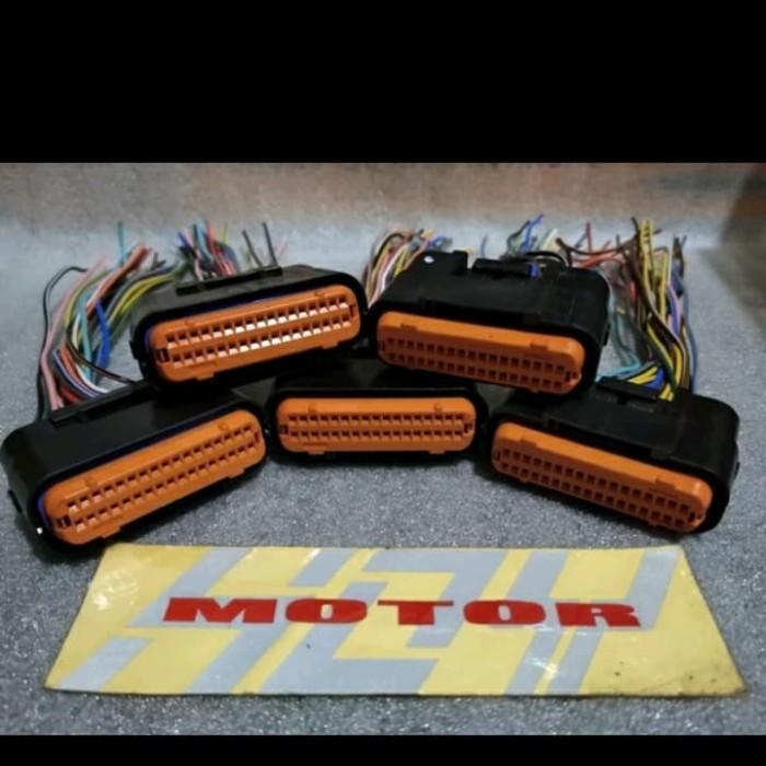 Soket CDI Soket ECU Ninja 250 FI