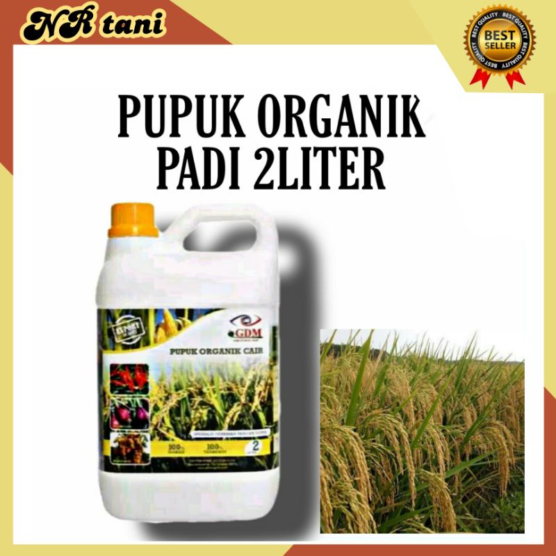 GDM PUPUK ORGANIK CAIR UNTUK TANAMAN PADI 2 LITER/ GDM ORGANIK PADI/ PUPUK ORGANIK TANAMAN PADI