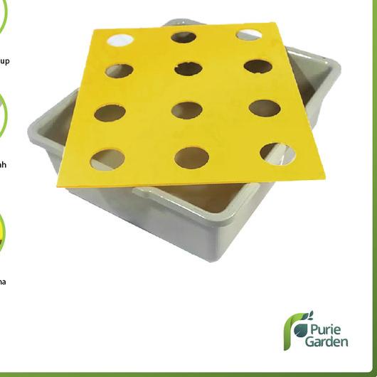 ◙  Baki Hidroponik Wick System dan Tutup Impraboard 12 Lubang ✤