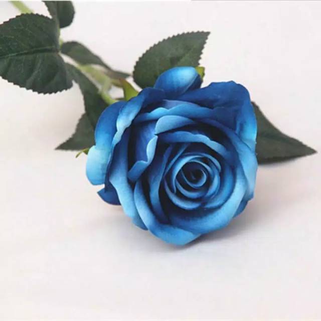 Rose Mawar Biru Shopee Indonesia