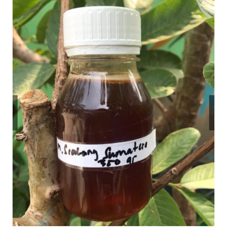 

Madu Murni Sialang Sumatera (Sudah Lab Cek) 350 gr