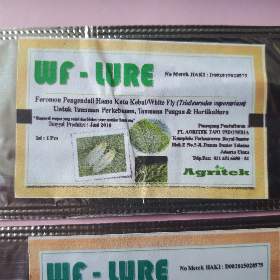 WF-Lure Feromon Pengendali hama Kutu Kebul/White FLy/Kutu Putih